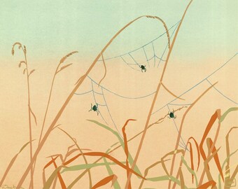 Fall Spiders - Archival Print