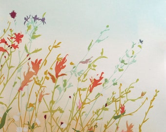 Mountain Wildflowers - hand pulled screen print