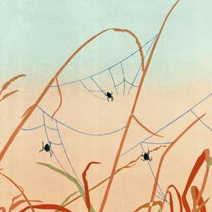 Araignées d'automne - Lot de 5 cartes de voeux