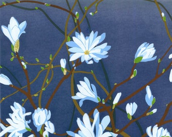 SALE - Star Magnolia - Archival Print