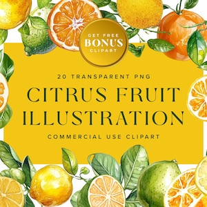 Colección de imágenes prediseñadas de frutas cítricas, hermosos elementos decorativos de limón PNG, gráficos de frutas de naranja y lima para uso comercial / descarga digital