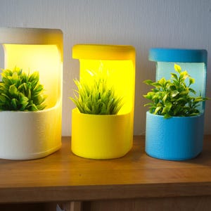Peut inclure: Trois lampes à plantes modernes et colorées. Les lampes sont blanches, jaunes et bleues, chacune avec une base cylindrique et un dessus rectangulaire. Chaque lampe contient une plante verte. Les lampes sont sur une surface en bois.