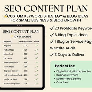Puede incluir: Gráfico de un plan de contenido SEO con el título "SEO CONTENT PLAN" y el subtítulo "CUSTOM KEYWORD STRATEGY & BLOG IDEAS FOR SMALL BUSINESS & BLOG GROWTH". El plan incluye 10 palabras clave, 20 palabras clave rentables, 6 ideas de temas para blogs y una auditoría del sitio web.