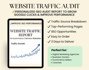 Website Traffic Audit: SEO Performance Report & Action Plan (PDF Report)