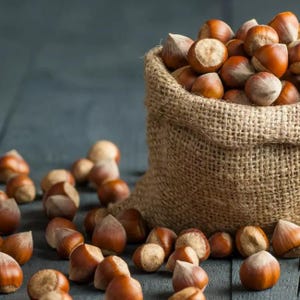Turkish hazelnuts,hazelnut,fresh hazelnut,shelled hazelnut,largest hazelnut,oiled hazelnut