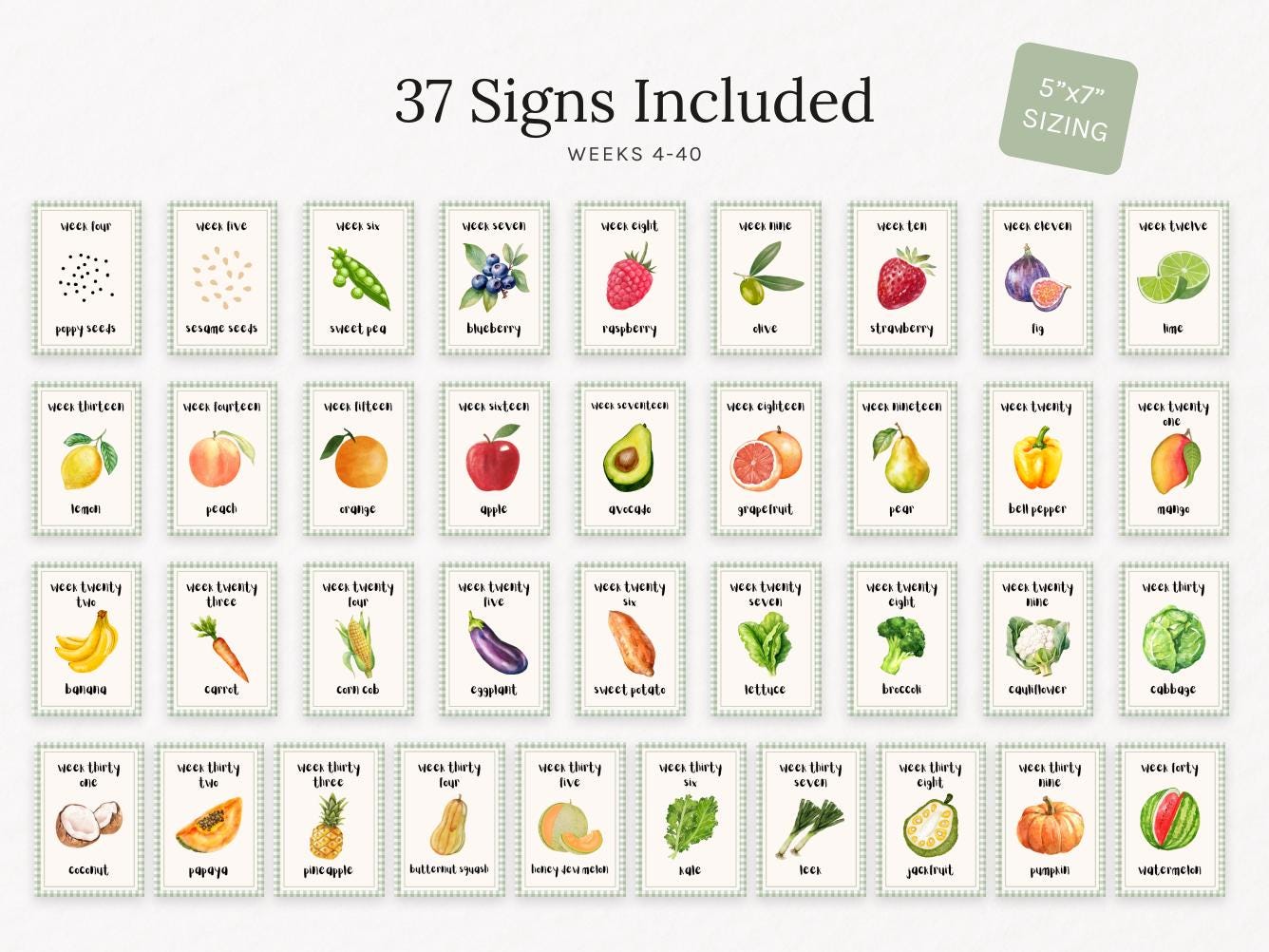 HandEasy Pregnancy Milestone Cards - Locally Grown Farmers Market Theme, 36-Piece Weekly Baby Size Cards For Photos