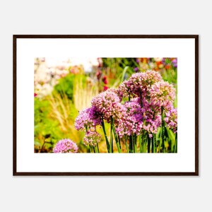 Collezione fiori: Aglio