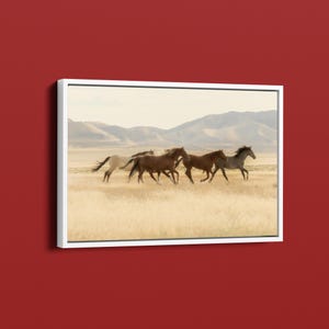 American Wild Horses Canvas Wall Art - Landscape Nature Wildlife Photography Mountain Mustangs Home Wall Decor Poster Horse Photography