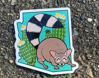 Sticker: Arizona State Ring-tailed Cat and Saguaro. Official United States state animals and flowers cute 3 inch vinyl sticker