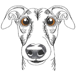 May include: A black and white line drawing of a dog's face. The dog has large, expressive brown eyes, a black nose, and long, floppy ears. The drawing is detailed, with visible lines and shading.