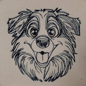 Border collie Ray (Large size)