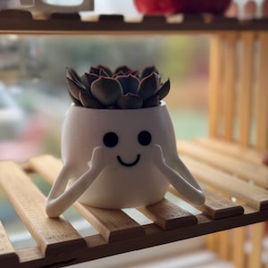 Mini happy face planter: Adorable 3D Printed Happy Face Pot for Succulents, Positive Vibes & Unique Home Decor
