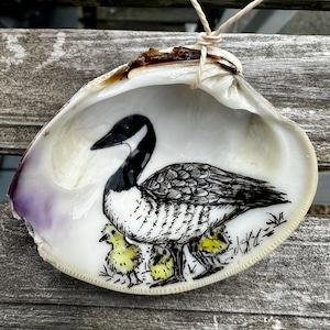May include: A white clam shell ornament featuring a hand-painted illustration of a black and white Canada goose with three small yellow goslings. The shell has a natural purple tint on the left edge and hangs from a light tan string.