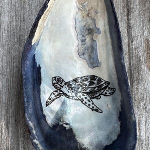 Sea turtle