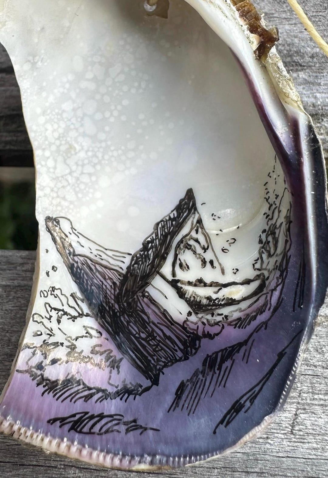 Whale Breaching Purple Version 1.1: Original Drawing on Clam Shell ...