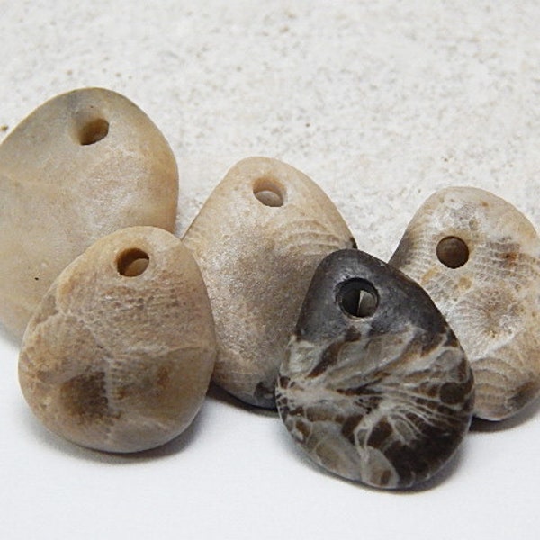 Drilled Fossil beach stones, Petoskey stones, Charlevoix stones, DIY Jewelry Supplies