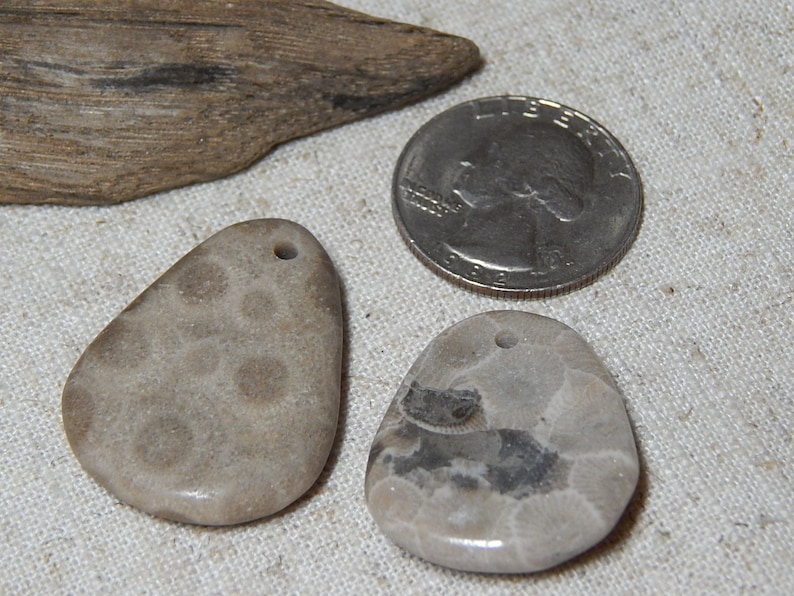 drilled hand polished beach stones Lake Michigan fossil rustic earthy supplies Petoskey Stone Pendants State Stone up north fossil