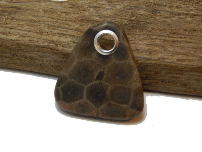 hand polished beach stone Petoskey Stone Pendant up north fossil Lake Michigan coral rustic earthy stone 925 Sterling Silver Grommet