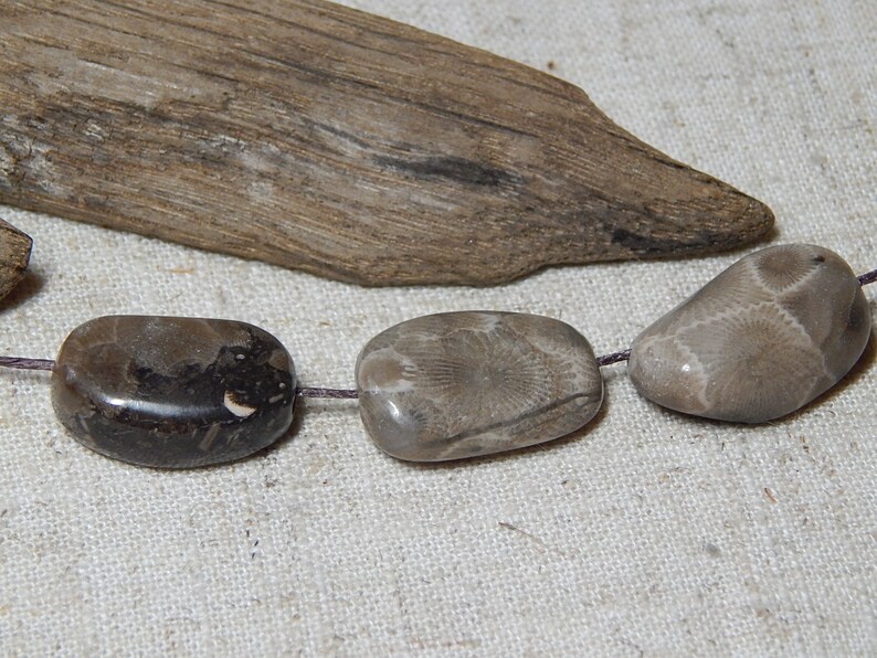Petoskey Stone Beads Jewelry Supplies beautifully patterned beach stone beads
