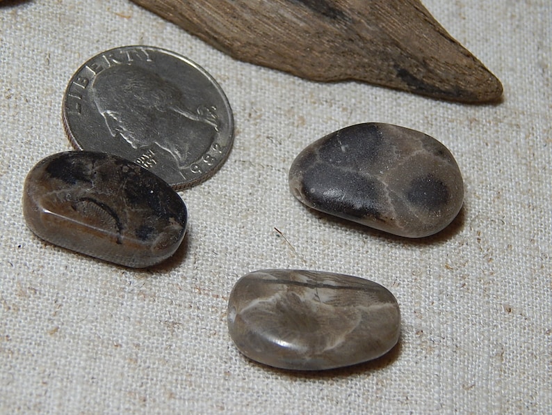 Petoskey Stone Beads Jewelry Supplies beautifully patterned beach stone beads