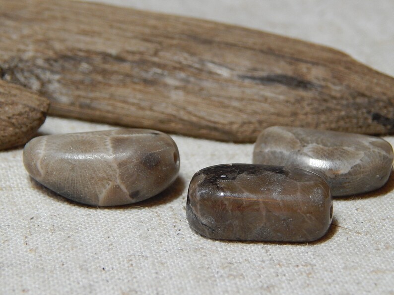 Petoskey Stone Beads Jewelry Supplies beautifully patterned beach stone beads