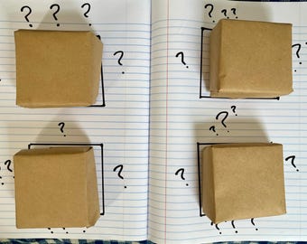 Tallow and Lard Soap Variety Pack