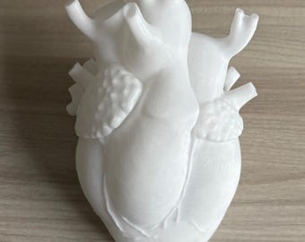 Anatomical Heart | Jewelry Box