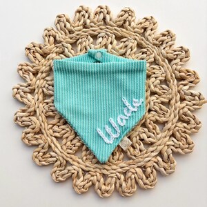 May include: A turquoise and white striped pet bandana with the name "Wade" embroidered in white. The bandana is triangular and has a button closure. It rests on a woven, circular placemat.