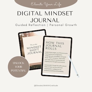 The 30 Day Mindset Shift Journal