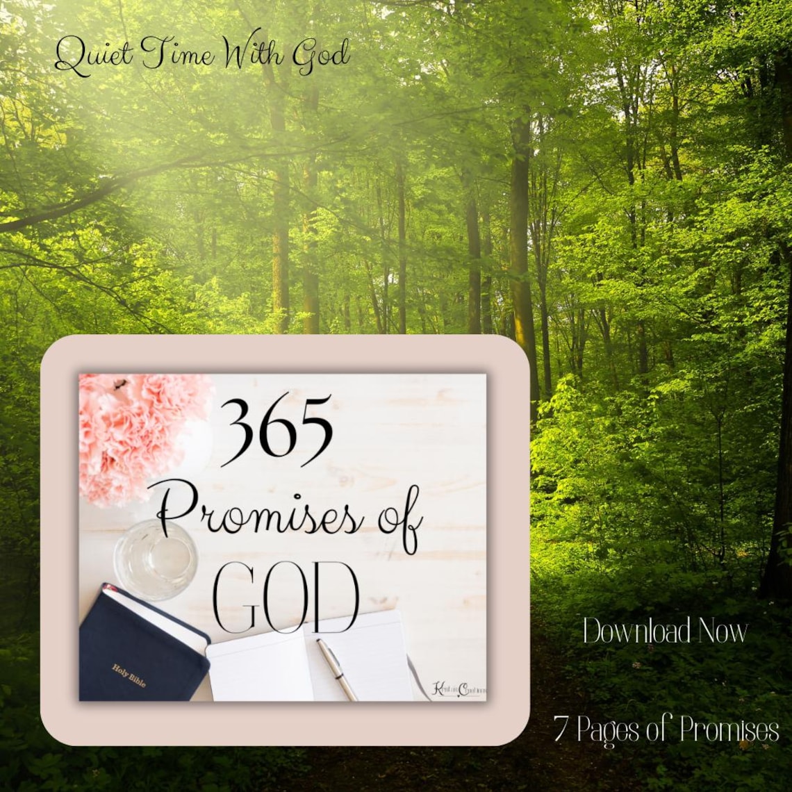 365 Promises of God | Printable Bible Verse Cards for Devotions ...