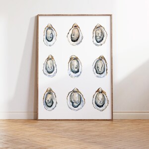 May include: A watercolor painting of nine oyster shells arranged in a grid pattern. The shells are painted in shades of gray, brown, and white, with a realistic depiction of the oyster's interior.