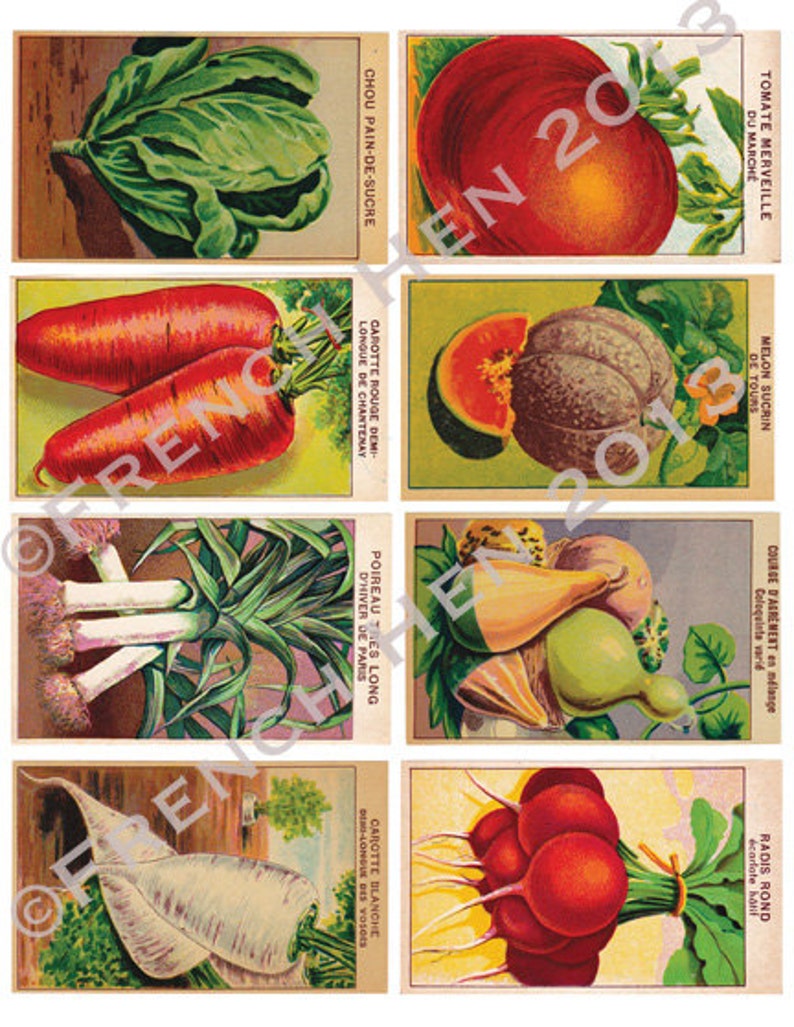 French Seed Packet Labels-Digital Download image 1