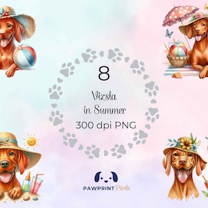 Vizsla Im Sommer PNG Datei, Charmanter Hund unter der Sonne Digitalbild, 300 dpi, Aquarell Illustration, Geschenk Idee Printable.