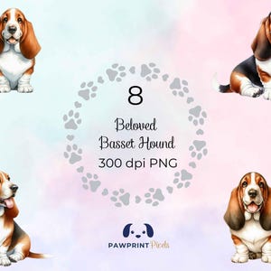 Fichiers PNG Basset Hound bien-aimé | Image numérique adorable chien allongé | Illustration aquarelle | Idée cadeau pour la Journée internationale du chien