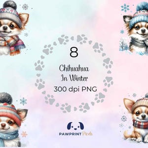 Puede incluir: Ilustraciones en acuarela de cuatro Chihuahuas con gorros y bufandas de invierno, sobre un fondo rosa y azul con copos de nieve. El texto dice "8 Chihuahua In Winter 300 dpi PNG".