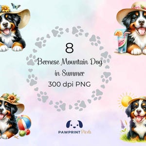 Berner Sennenhund im Sommer PNG-Datei, süßer Hund unter der Sonne Digitalbild, 300 dpi, Aquarell-Illustration, Geschenkidee zum Ausdrucken.