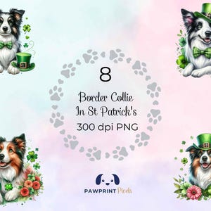 May include: A set of eight digital clipart images featuring border collies wearing St. Patrick's Day themed hats and surrounded by shamrocks and flowers. The images are 300 dpi PNG files.