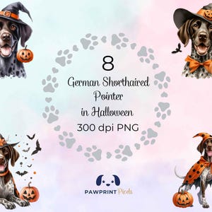 May include: Digital artwork showing eight German Shorthaired Pointers in Halloween attire. The dogs are dressed in witch hats, capes, and hold carved pumpkins. Bats and paw prints surround the text "8 German Shorthaired Pointers in Halloween 300 dpi PNG."