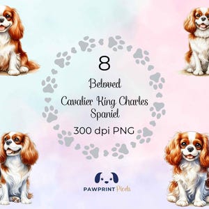 Fichiers PNG Cavalier Spaniel bien-aimé | Image numérique de beau chien allongé | Illustration aquarelle | Idée cadeau pour la Journée internationale du chien