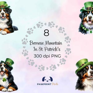 Berner Sennenhund In St Patrick's PNG Datei, Aquarell Illustration, Zauberhafter Hund in Grün, Digital Bild, 300 dpi, Geschenk Idee zum Ausdrucken