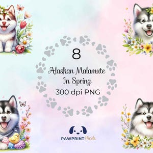 May include: A set of 8 digital illustrations of Alaskan Malamute puppies in spring with flowers. The images are 300 dpi PNG files. Pawprint Pixels.