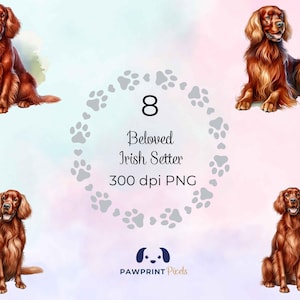 Fichiers PNG Setter irlandais bien-aimé | Image numérique de beau chien se prélasser | Illustration aquarelle | Idée cadeau pour la Journée internationale du chien