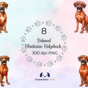 Beloved Rhodesian Ridgeback PNG Files | Enchanting Dog Lounging Digital Image | Watercolor Illustration | International Dog Day Gift Idea