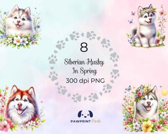 Può includere: Un download digitale di 8 illustrazioni di cani Husky siberiani in ambientazioni a tema primaverile. Le immagini sono file PNG a 300 dpi. Il testo "PAWPRINT Pixels" è in fondo all'immagine.