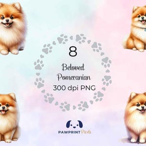 Beloved Pomeranian PNG Files | Cute Dog Lounging Digital Image | Watercolor Illustration | International Dog Day Gift Idea