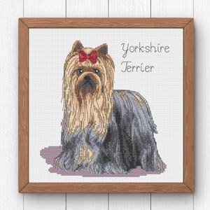 Może przedstawiać: Oprawiony haft krzyżykowy przedstawiający psa rasy Yorkshire Terrier. Pies ma długą, płynącą sierść w odcieniach brązu, szarości i czerni oraz czerwoną kokardę. Nad psem widnieje napis "Yorkshire Terrier".