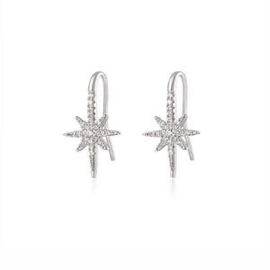 Silver 925 Star Earrings with Zirconia