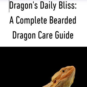 Op de afbeelding: Een baardagame, een soort hagedis, met oranje en gele schubben, kijkt omhoog. De achtergrond is zwart. De tekst "Dragon's Daily Bliss: A Complete Bearded Dragon Care Guide" staat boven de afbeelding.