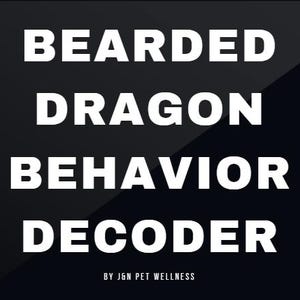May include: Black and white text on a black background reads "Bearded Dragon Behavior Decoder" with the words "Creative" and "2025" in smaller font at the edges of the image. The text "By JGN Pet Wellness" appears below the main title.