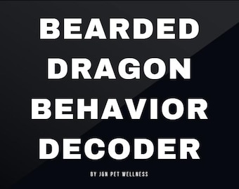 Bearded Dragon Behavior Decoder: What Your Scaly Friend Is Trying to Tell You!